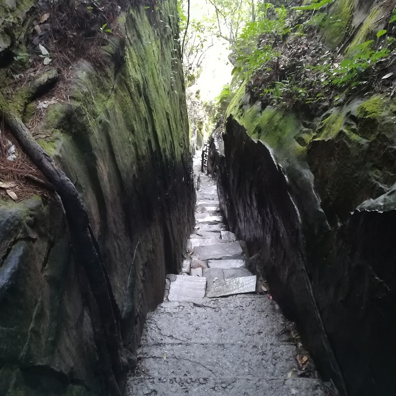 张家界旅游线路怎么安排，张家界国家森林公园和儿童美术3天2晚游玩攻略