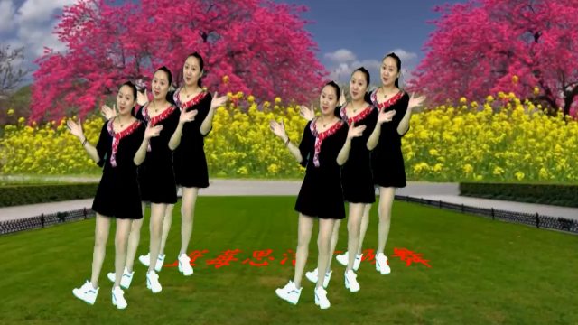 东北民歌《东北汉子人人夸》精选鬼步舞 简单好看易学