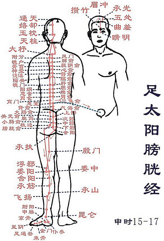 足太阳膀胱经,抻抻更健康