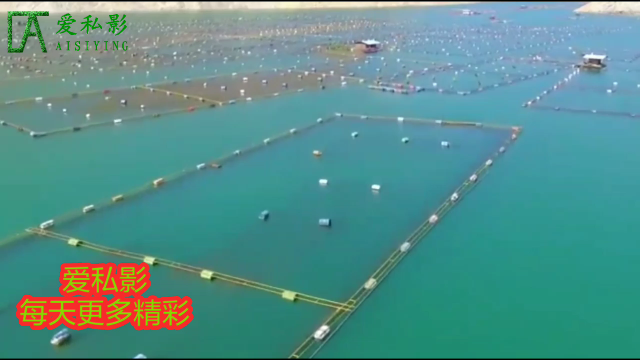 贵州与广西交界的红水河,为什么贵州这边没有养鱼的网箱