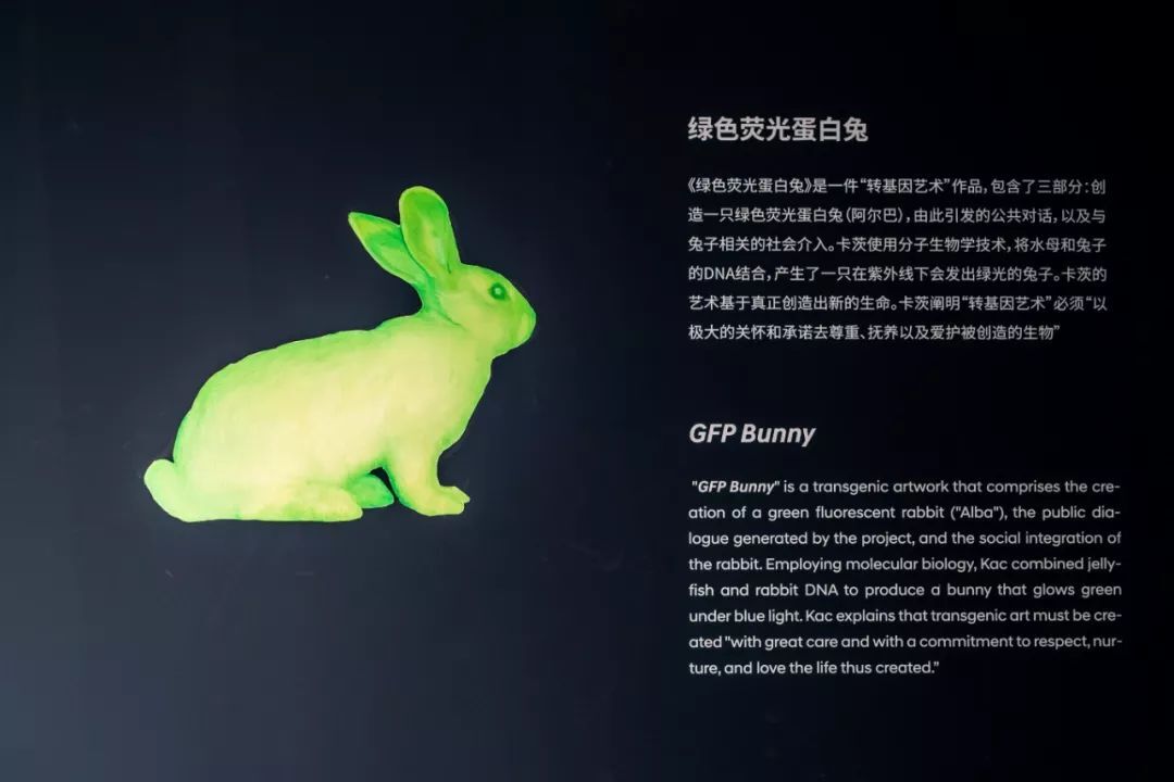 男儿有泪不轻弹