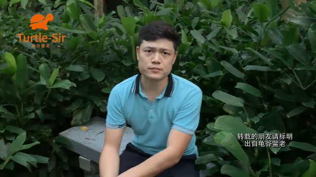 乌龟突然暴毙到底是什么原因导致的「龟谷鳖老」