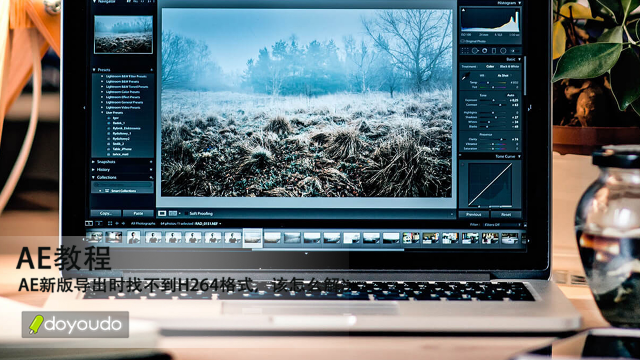 AE新版导出时找不到 H264 格式，该怎么解决？