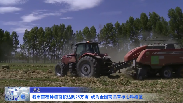 金昌苜蓿种植面积达到25万亩 成为全国商品草核心种植区