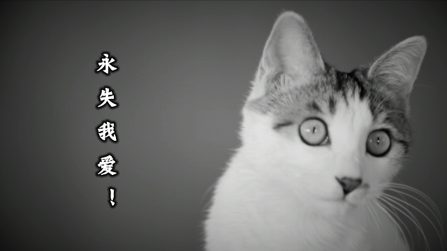 很欣慰生命某段时刻，曾一起度过~