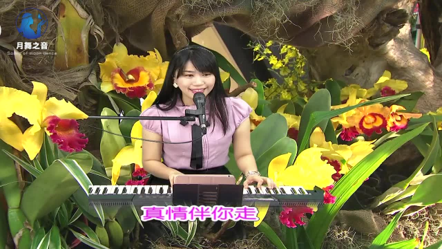 带你一起听好歌 翻唱经典歌曲 烟花三月