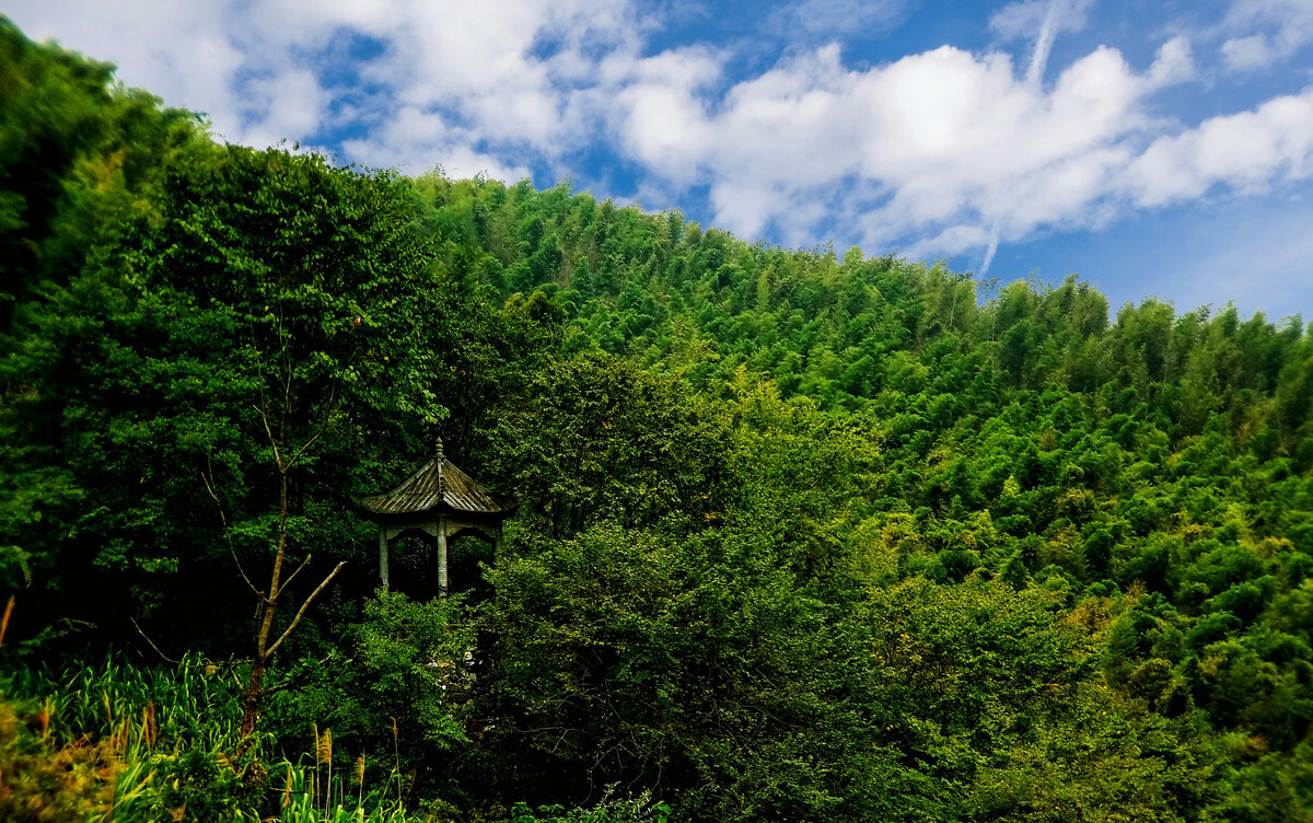 步道与观景平台