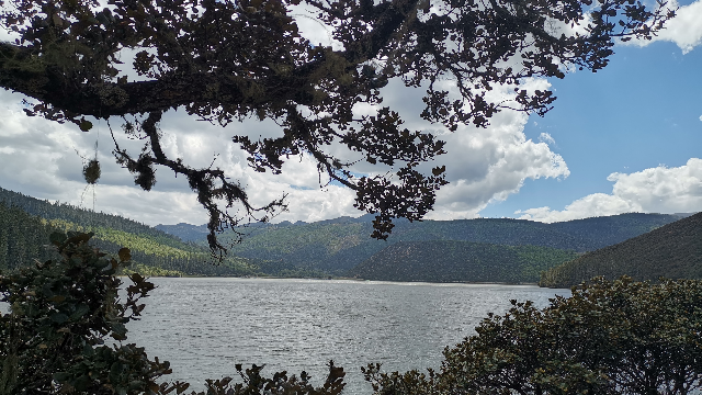 海拔3705米的高原公园——普达措国家公园属都湖景区