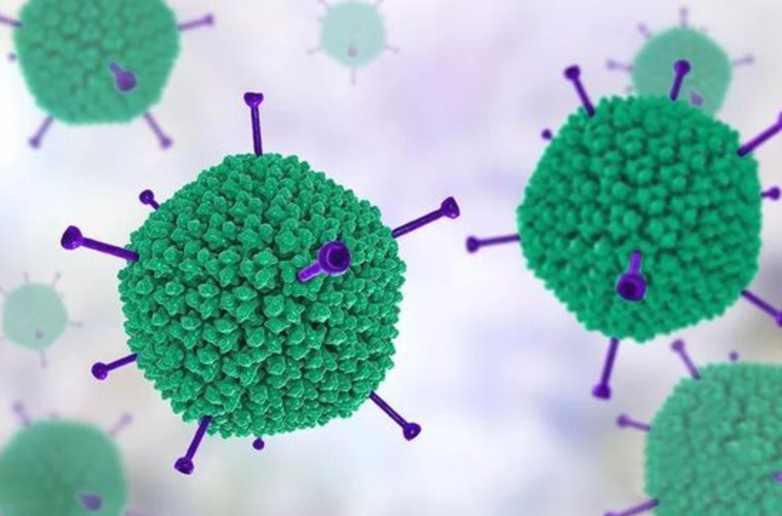 mers病毒是动物病毒吗_埃博拉病毒是僵尸病毒吗_病毒是什么?