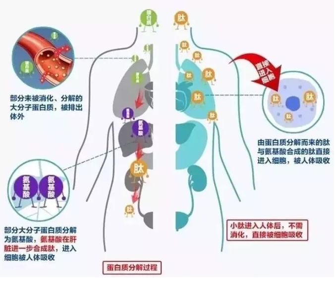 极速赛车手