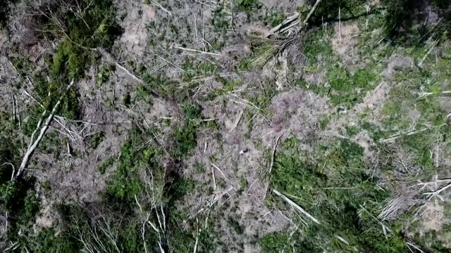 航拍巴西热带雨林砍伐现状 大片裸地触目惊心