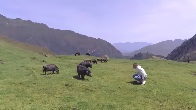 四川旅行：黑竹沟·马里冷旧