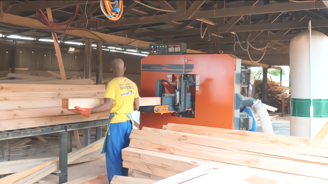 非洲木材厂实拍，不黑不吹，工人干活的效率还真快