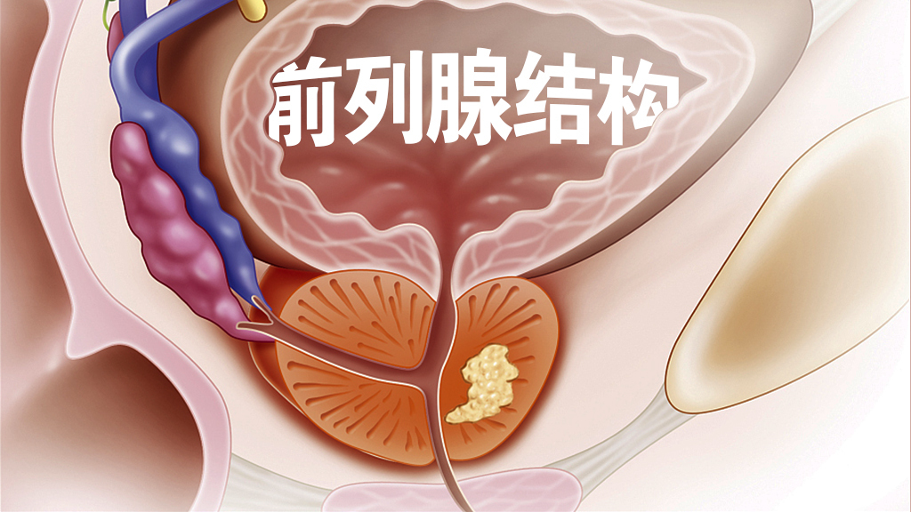 什么千钧成语人体部位_成语故事图片(2)