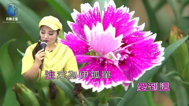 带你一起听好歌 翻唱闽台歌曲 无人车站