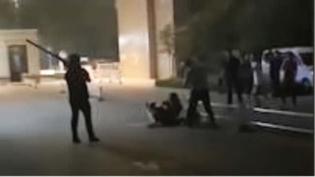 2名男子棍棒打狗女子尖叫护狗：别打我的狗！