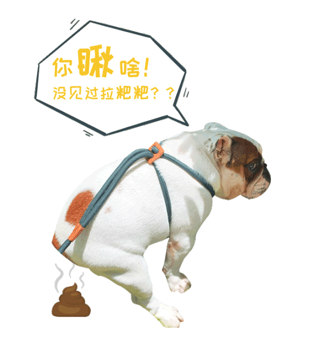 2,喝了半杯的珍珠奶茶,扔掉应该怎么分类?