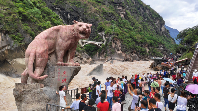 六月的香格里拉虎跳峡景区，洪水咆哮，汹险无比
