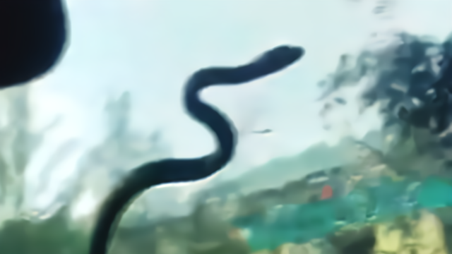 长蛇挡风玻璃上狂扭却无法前行 网友：可能要爬一个世纪