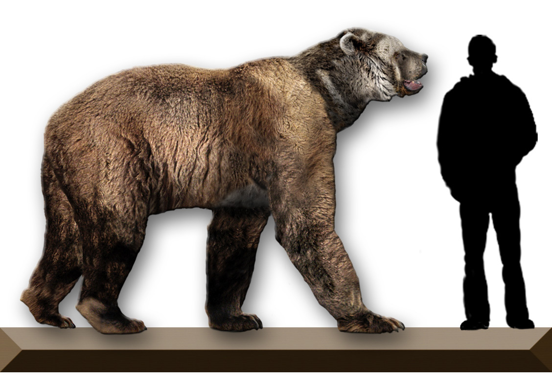 巨型短面熊：史前北美真正的北境之王_凤凰网