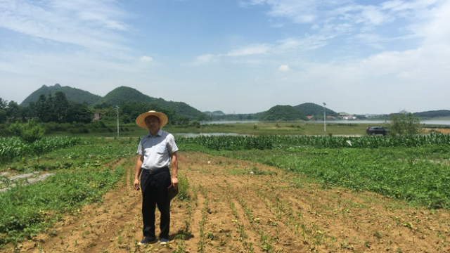 王君植风水大师：风水宝地梅花龙，唐朝李氏葬祖坟风水出吏部天官