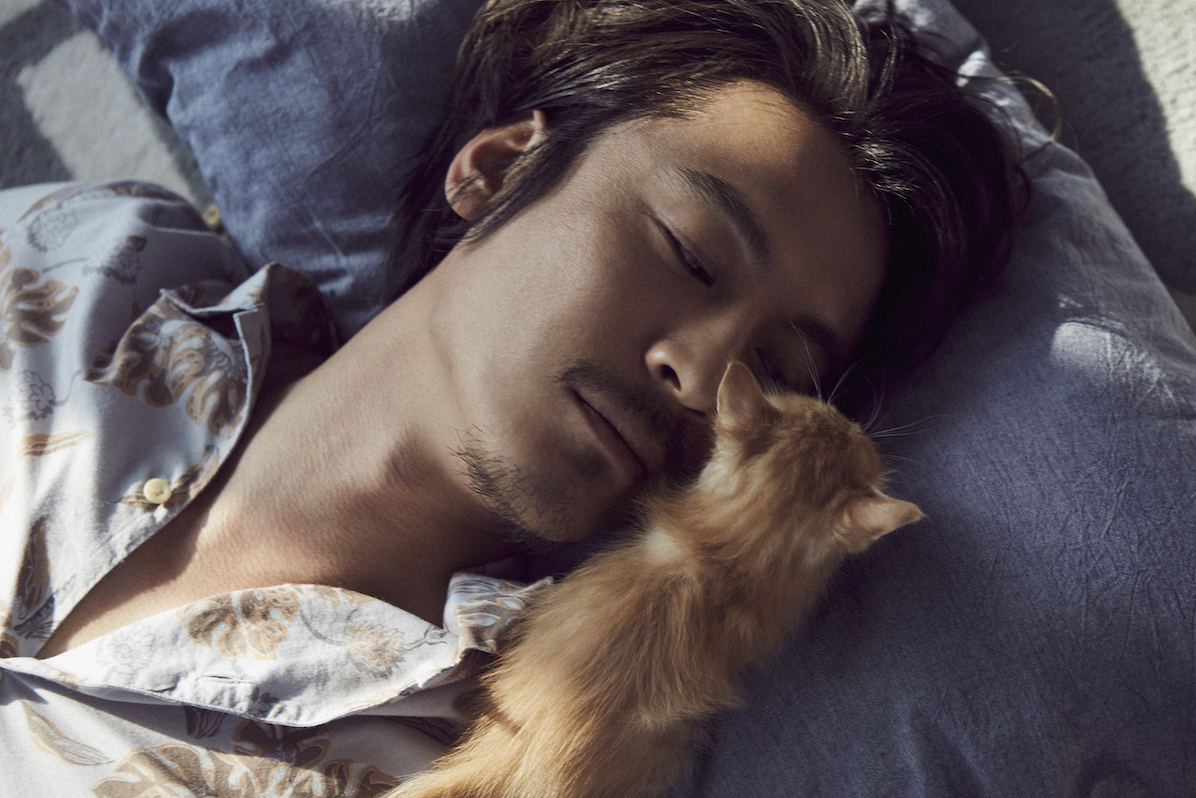 王东慵懒风写真发布 酷与萌的距离只差一只猫