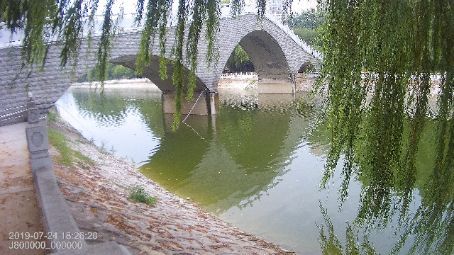 美丽的许昌千亩游园，美丽的清潩河畔，配背景老歌，小村之恋