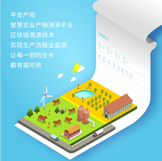 平安产险:深耕细作“产业+教育”精准扶贫,助力打赢脱贫攻坚战 bbinmg娱乐平台