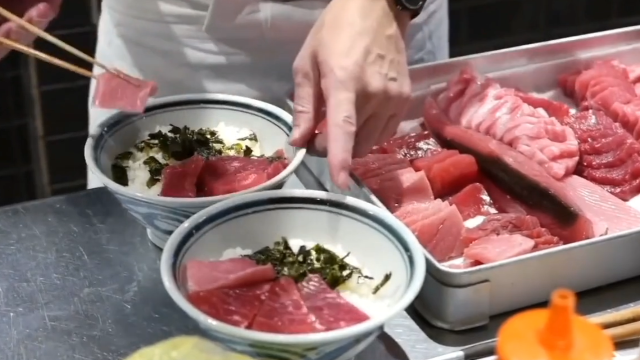 巨型蓝鳍金枪鱼 切割 生鱼片 海鲜饭
