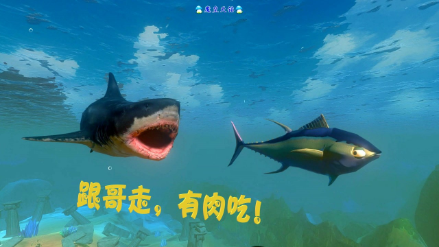 天铭 海底大猎杀 第二季 43 犀利的小眼神 黄鳍