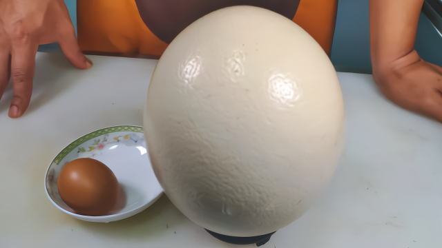 烹饪蛋中之王“鸵鸟蛋”，个头比鸡蛋大几十倍，味道会好吃吗？