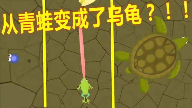 昆虫进化大乱斗03：虫子进化成蝌蚪，青蛙竟然进化成乌龟？