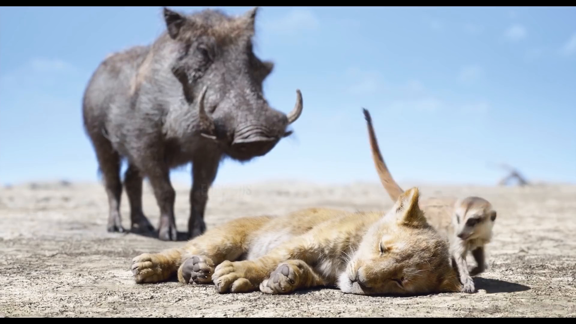 丁满和彭彭拯救辛巴场景-狮子王(2019)电影剪