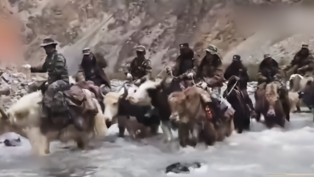 翻雪山蹚冰河！揭秘牦牛背上的巡逻队 “白英雄”不幸牺牲在途中