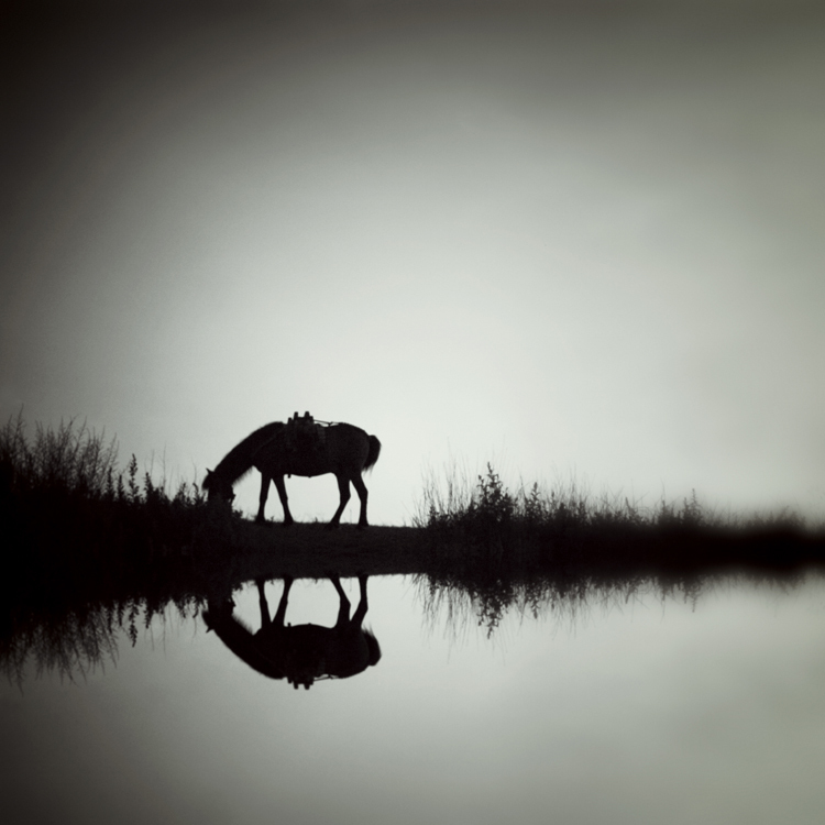 伟德bv1946官网-购路虎揽胜极光