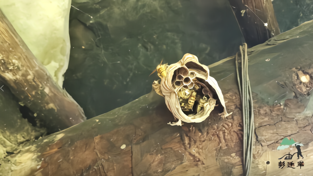 蜂箱附近有个胡蜂窝，蜂农简单一招就处理好了