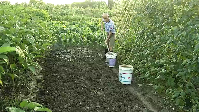 农民大叔在田园施肥有什么方法技巧？当归村新农哥：值得学习！