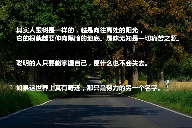 看完伟大哲学家尼采这20句名言,瞬间明白了很多道理,收获满满