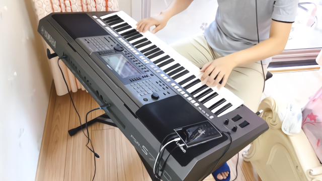 电子琴演奏经典老歌《牡丹之歌》,非常好听,百