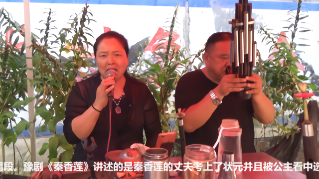 大姐演唱豫剧《秦香莲》，三江水，一招一式，都是大师风范！
