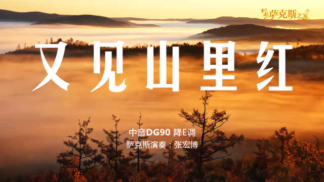 萨克斯《又见山里红》深情悠扬,经典歌曲好听