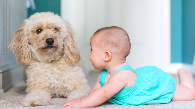 国家少儿医保如何办理？教你三步轻松搞定！