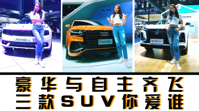 Q8领衔领克长安助阵 成都车展这三款硬核车型爱不爱