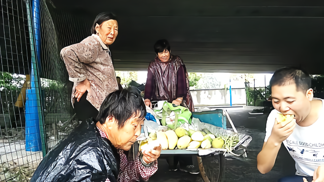 农村78岁奶奶自种的香瓜如何？听当归村新农哥讲解！