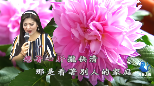 带你一起听好歌 翻唱闽南歌曲 流浪的人生