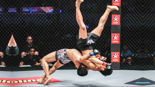 UFC难得一见的KO瞬间！裁判都没见过，网友躺着还能KO人