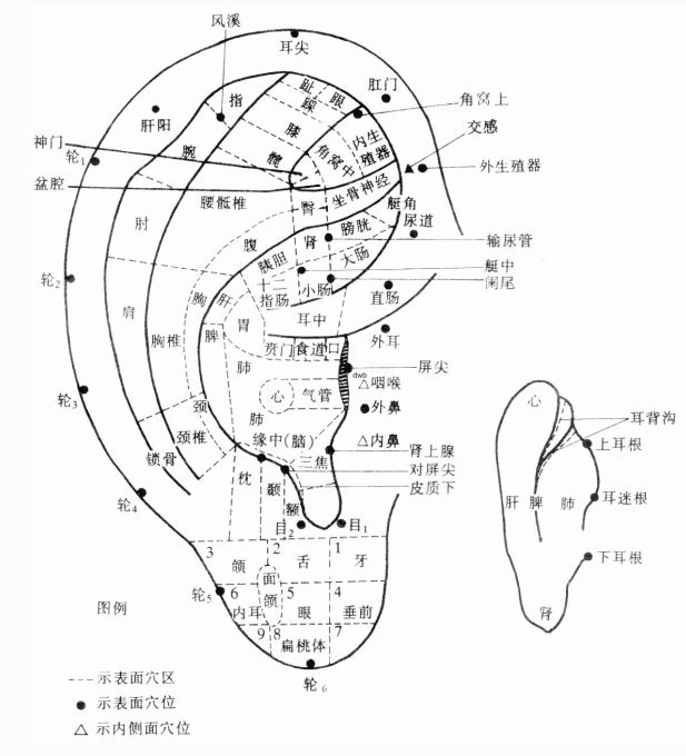 采耳spa和采耳有什么不同？丨采耳和足浴