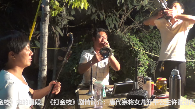唢呐大神呐子吹豫剧《打金枝》，潇洒自如，这样的高手真罕见！