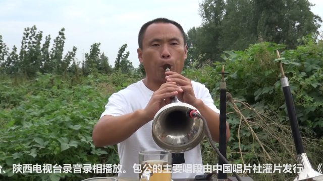 唢呐高手演奏曲剧《包公辞朝》，一字一板，真像蓝文祥大师唱的！