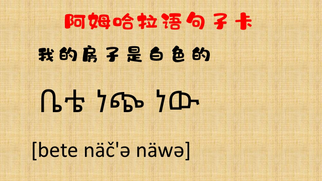 【埃塞俄比亚的阿姆哈拉语】1分钟学句子(9)